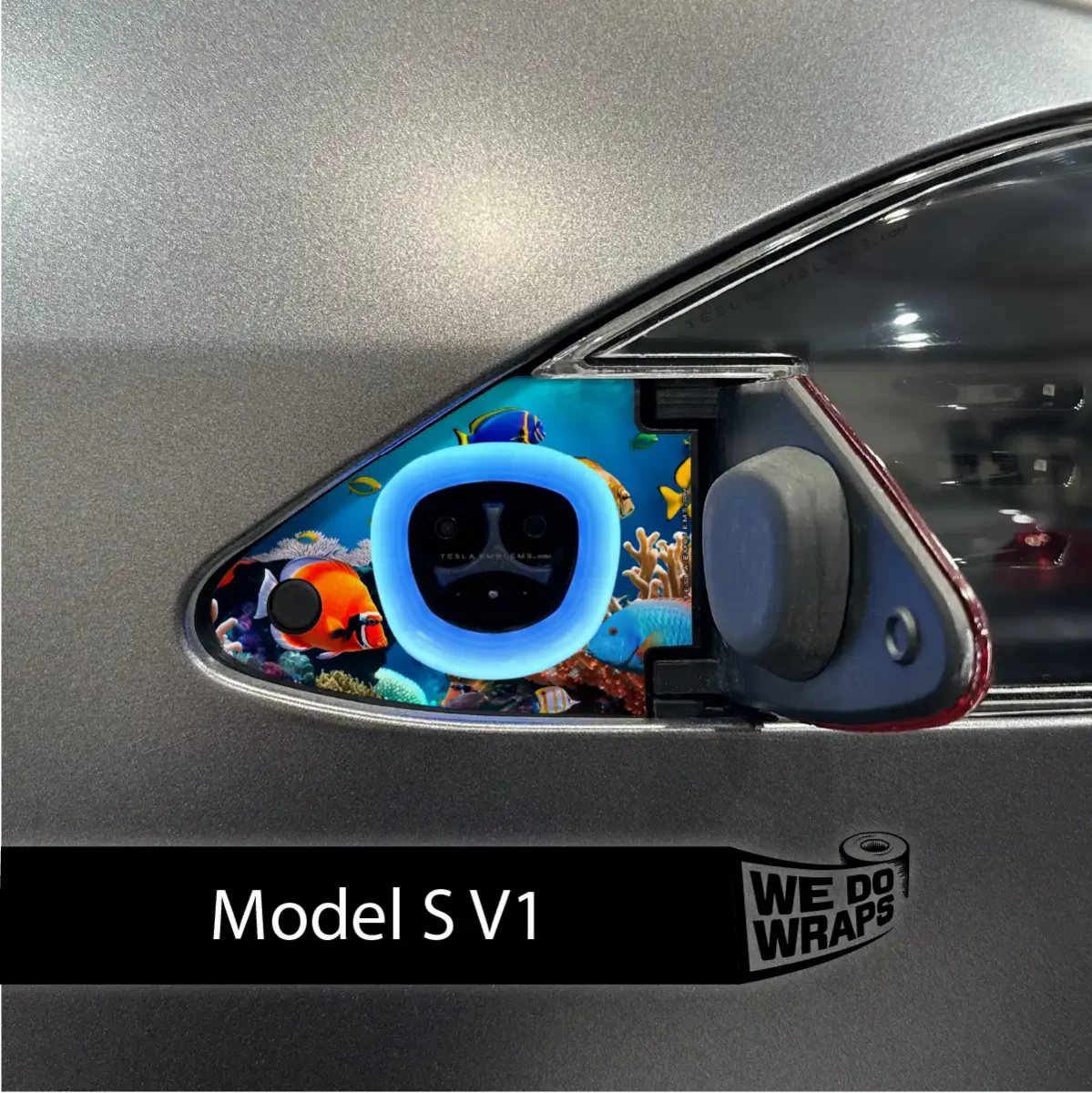 Aquarium Tesla Charge Port Wrap | Model S